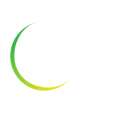league logo