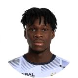 Arona Fall Profile Photo