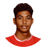 Mohamed Amine Katiba Profile Photo