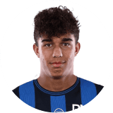 Dominic Vavassori Profile Photo