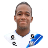 Kleiber Palomino Profile Photo