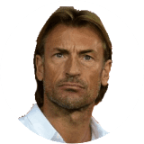 Hervé Renard Profile Photo
