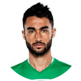 Tom Shelach Profile Photo