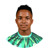 Siphiwe Tshabalala Profile Photo