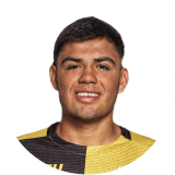 Diego Vergara Profile Photo