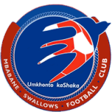 Mbabane Swallows logo