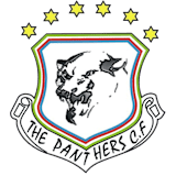 The Panthers logo