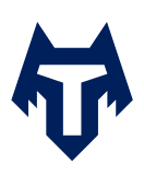 FC Tambov logo