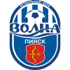 Volna Pinsk logo