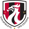Guilsfield FC logo