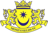 Moneyfields logo