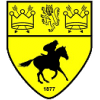 Newmarket Town logo