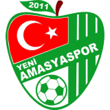 Yeni Amasyaspor logo