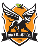 Nova Iguaçu Youth logo