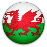 Wales U17 logo