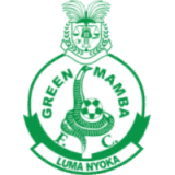 Green Mamba logo