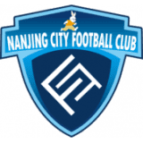 Nanjing City logo