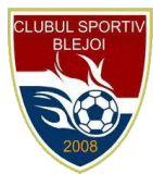 Blejoi logo