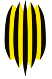 Rukh Lviv U19 logo