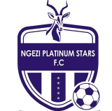Ngezi Platinum Fc logo