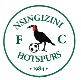 Nsingizini Hotspurs logo