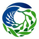 Viargoca FC logo