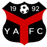 Ynyshir Albions logo