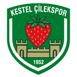 Kestel Çilekspor logo
